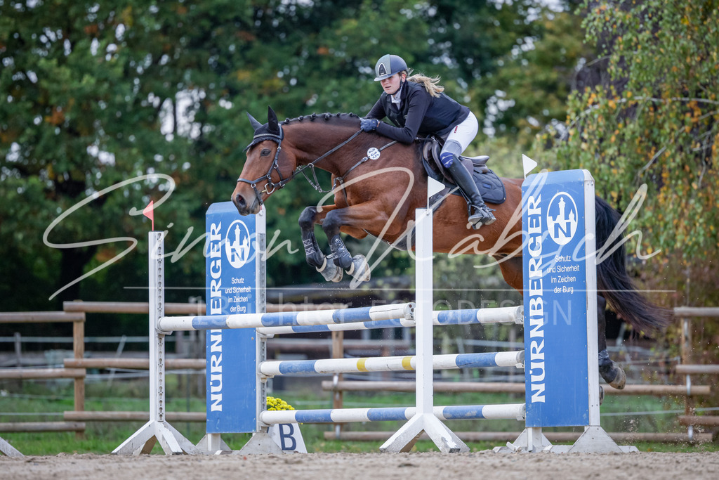 20251012-_3LI5184 | Tierfotografie Pferde, Hunde, Katzen, Haustiere.
Turnierfotografie Reitturniere, Reiten, Springreiten, Dressur in Hanau, dem Main-Kinzig-Kreis und dem Rhein-Main- Gebiet um Frankfurt