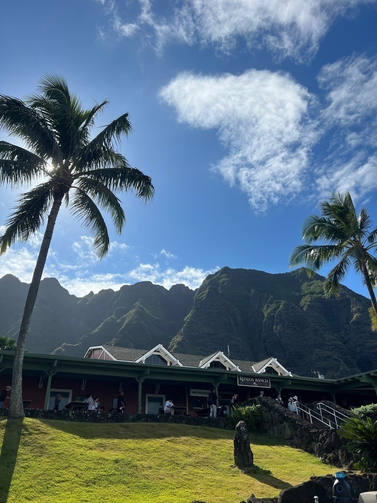 IMG_7741 | ace - Realisiert mit Pictrs.com