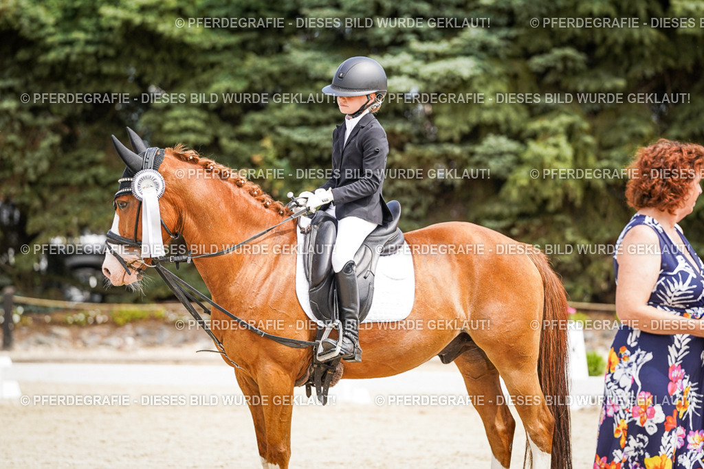 DSC02631 | Pferdegrafie