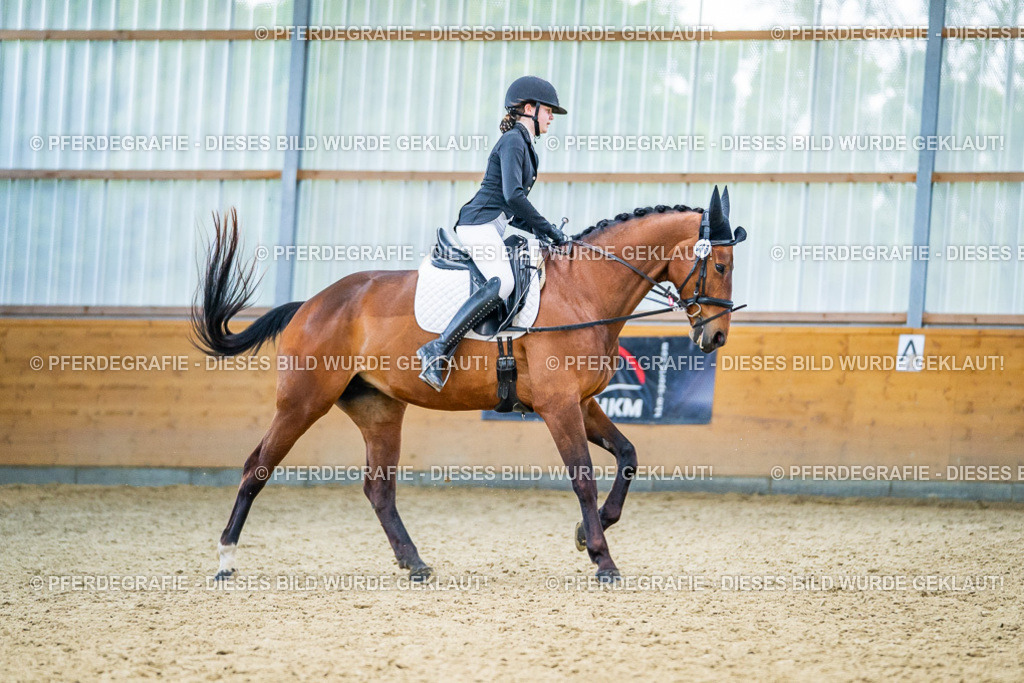 DSC04287 | Pferdegrafie