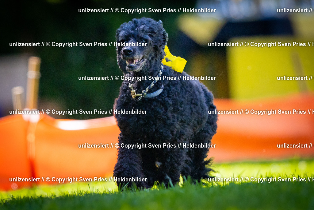 Sven Pries | 2025-08-10 - Hunderennen Durlach - Realisiert mit Pictrs.com