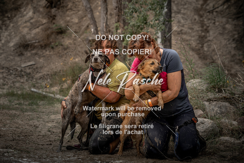 nelerasche_sa1530-1600_95 | nelerasche