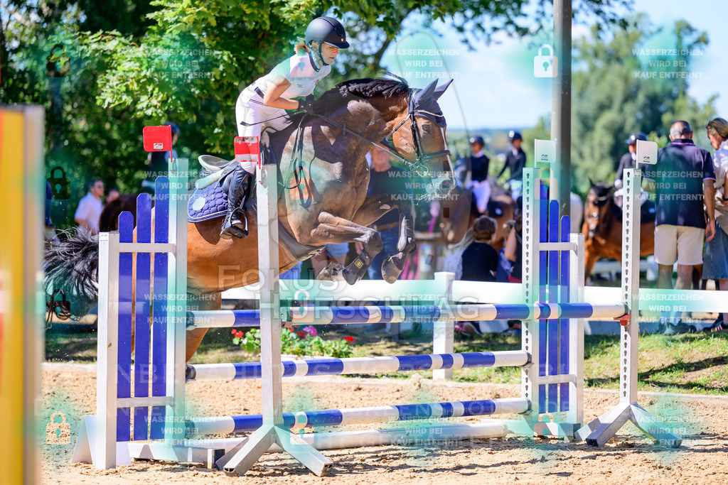29082026-Giesenbach-Prfg10-0431 | Fokus Hufschlag Fotografie - Realisiert mit Pictrs.com