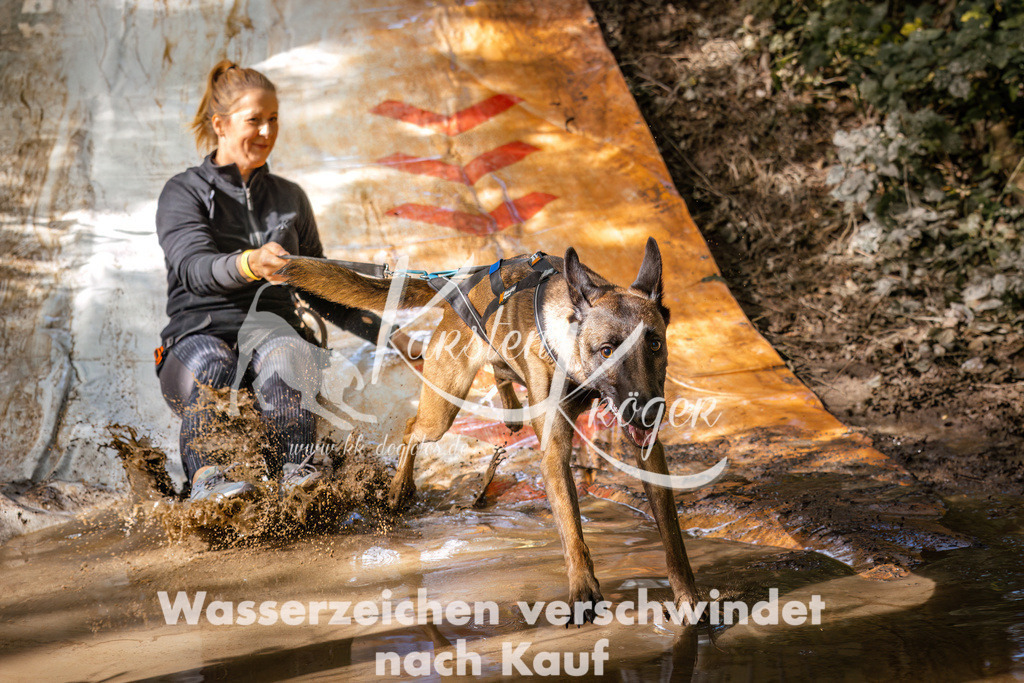 1353_ZZ93218 | kk-dogfotos