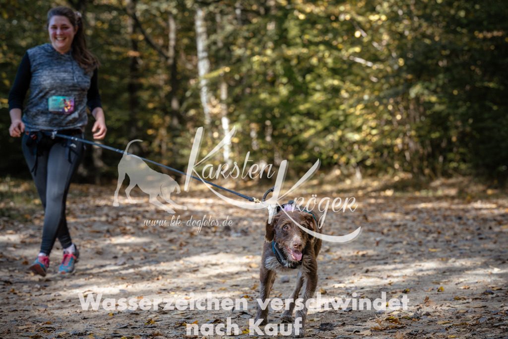 1242_ZZ95933 | kk-dogfotos