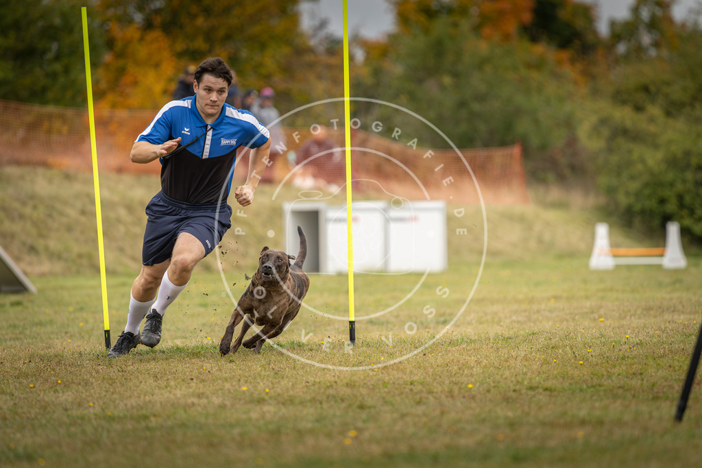 Pfotenfotografie_DV3A5609 | Hundefotografie, Tierfotograf, Pfotenfotografie, Fotoshooting Hund, Hunde Portrait, Hundesport, Hundeportraits, Heideshooting, Hunde, Sportfotograf, Hundefotograf, Turnierhundsport, THS,  - Realisiert mit Pictrs.com