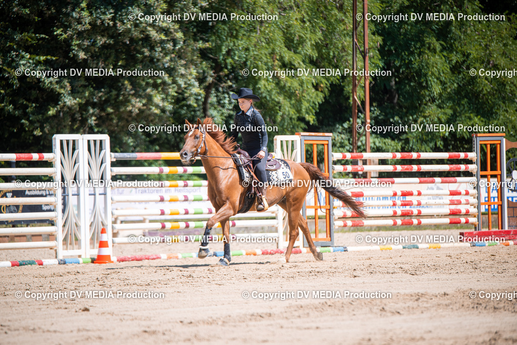 ZS1_1044 | dv-media-shop - Realisiert mit Pictrs.com