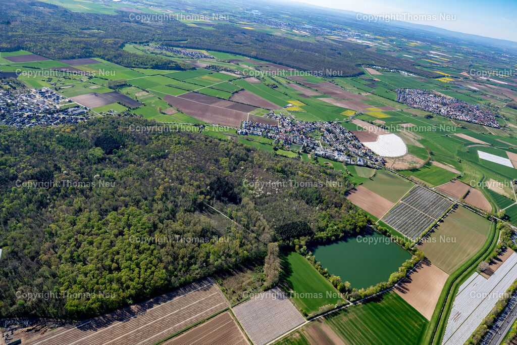 DSC_4981 | Bensheim, Zwingenberg, Niederwaldsee, Rodau, , Bild: Thomas Neu