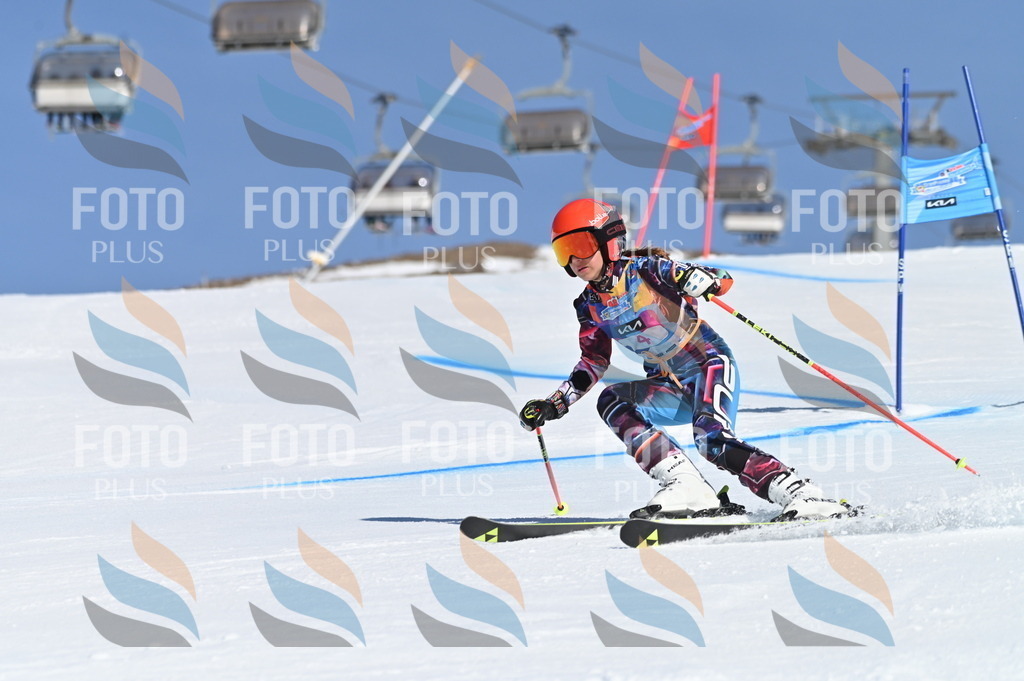 BGV_7642 | holidayphoto