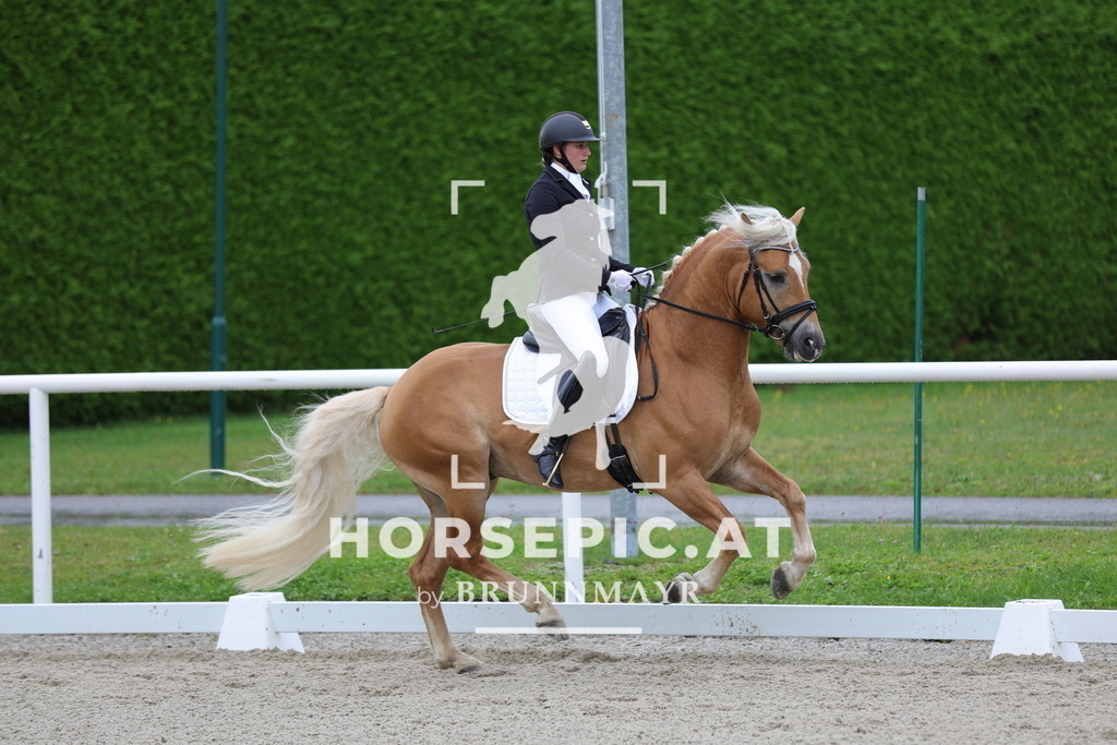 0P6A7780 | Willkommen bei Brunnmayr - Design & Fotografie – Ihrem Spezialisten für Reitturniere und Pferdeveranstaltungen in Oberösterreich, Salzburg und Bayern! Seit über 17 Jahren sind wir leidenschaftlich dabei.