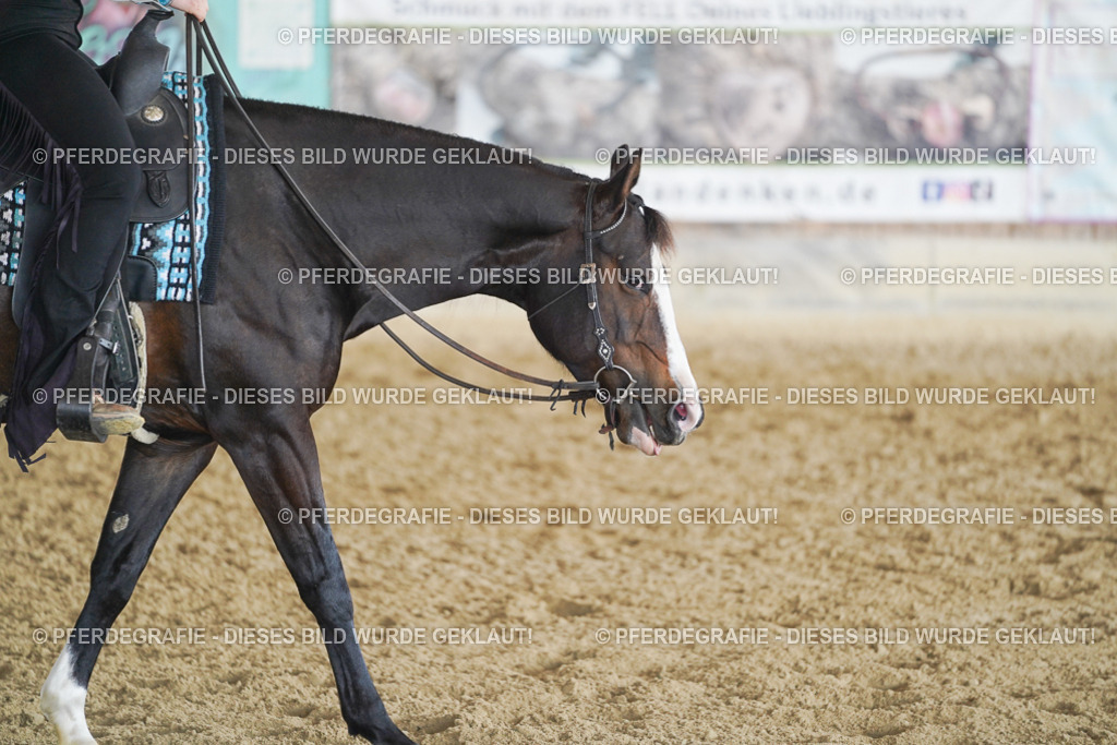 DSC09972 | Pferdegrafie