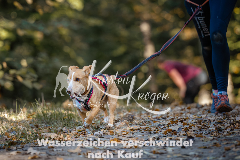 1030_ZZ90113 | kk-dogfotos