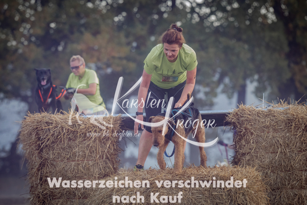 0828_ZZ97915 | kk-dogfotos