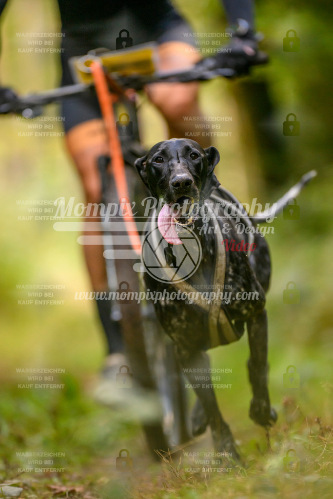 MompixPhotography_Yens2025_B2-64 | PayLife