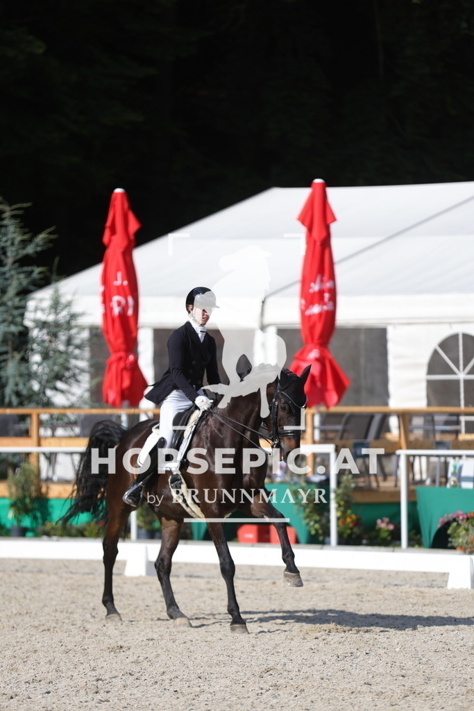 0P6A6869 | Willkommen bei Brunnmayr - Design & Fotografie – Ihrem Spezialisten für Reitturniere und Pferdeveranstaltungen in Oberösterreich, Salzburg und Bayern! Seit über 17 Jahren sind wir leidenschaftlich dabei.