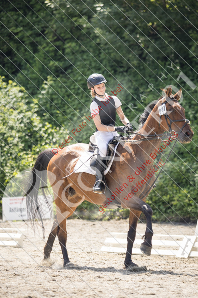 IMG_4573 | Sport-, Event- und Tierfotos in Profiqualität. Einfach auswählen, bestellen und herunterladen. Dein Moment – perfekt festgehalten.