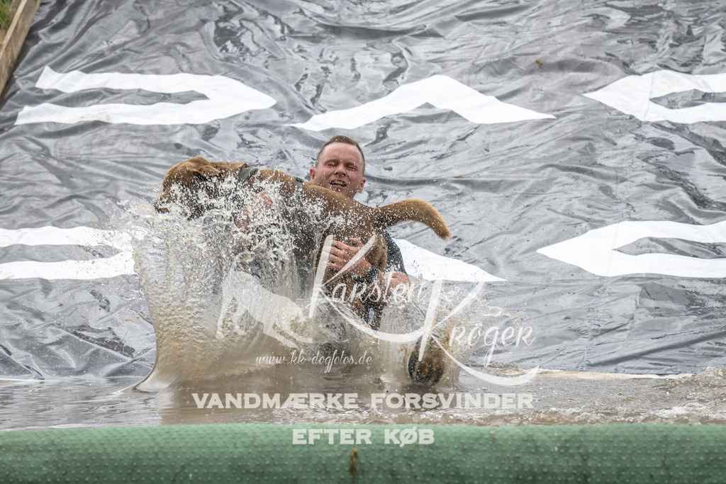 1423_ZZ90313 | kk-dogfotos