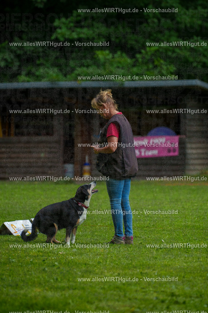 @allesWIRTHgut_Tierfotografie - www.allesWIRTHgut.de - 7R503381 | Professionelle Tierfotografie in Mönchengladbach von Daniel Wirth (allesWIRTHgut). Liebevolle & natürliche Bilder von Hunden & Katzen für unvergessliche Erinnerungen.