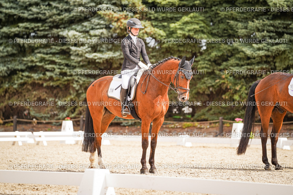 DSC01665 | Pferdegrafie