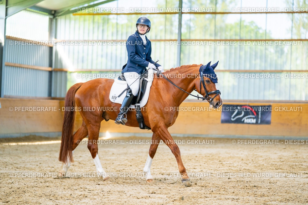 DSC06572 | Pferdegrafie