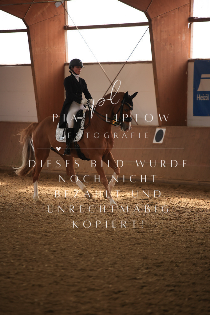 IMGT4672 | pl-fotografie