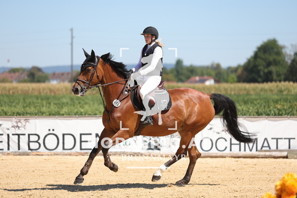 0P6A2852 | Willkommen bei Brunnmayr - Design & Fotografie – Ihrem Spezialisten für Reitturniere und Pferdeveranstaltungen in Oberösterreich, Salzburg und Bayern! Seit über 17 Jahren sind wir leidenschaftlich dabei.