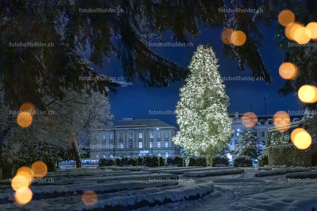 IMG_4778_2 | Foto Bollhalder 