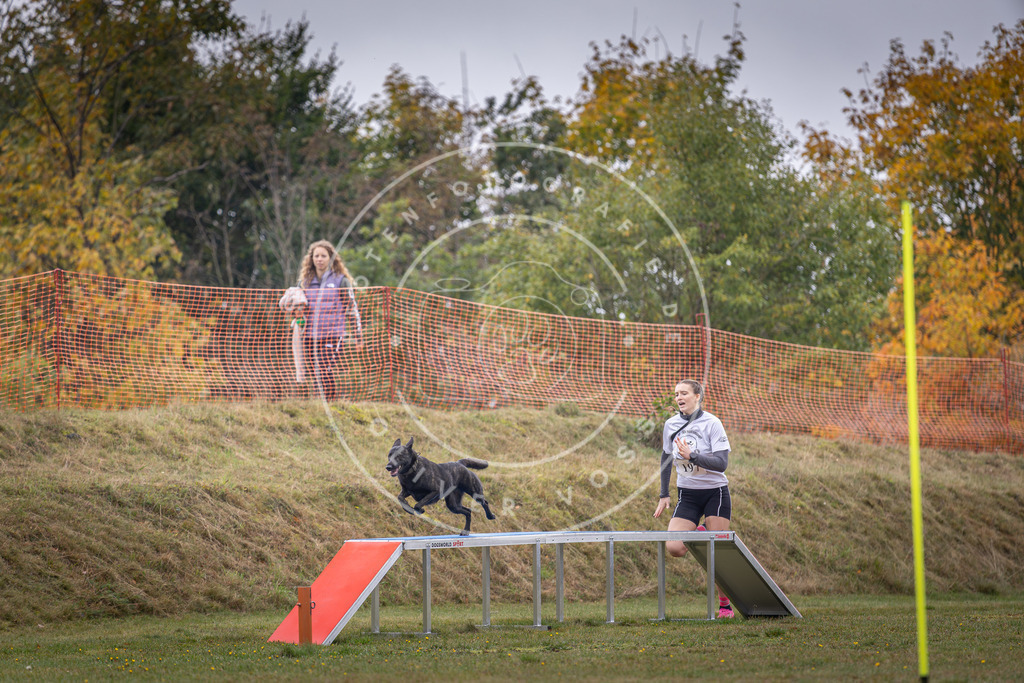Pfotenfotografie_DV3A1429 | Hundefotografie, Tierfotograf, Pfotenfotografie, Fotoshooting Hund, Hunde Portrait, Hundesport, Hundeportraits, Heideshooting, Hunde, Sportfotograf, Hundefotograf, Turnierhundsport, THS,  - Realisiert mit Pictrs.com
