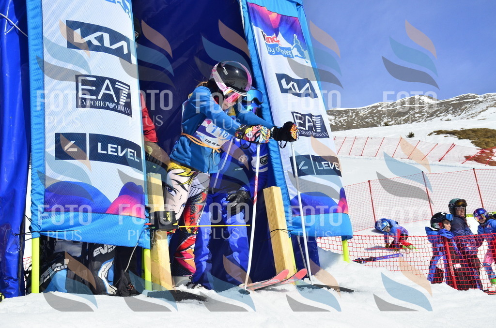 _ELE0709 | holidayphoto