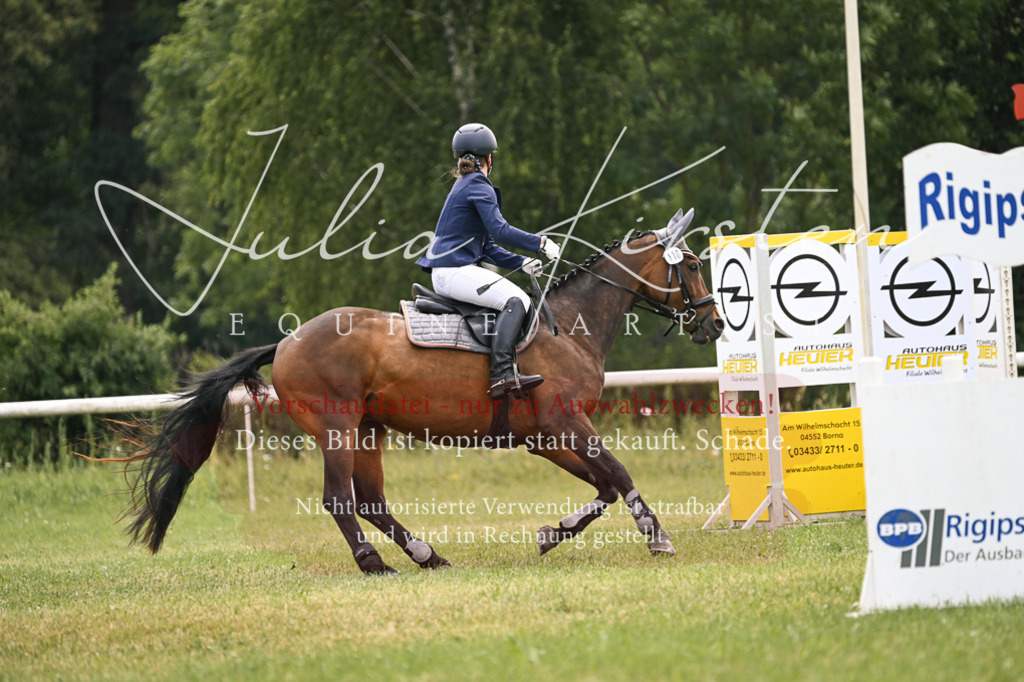 DSC_9128 | Pferde- und Turnierfotografie in Westsachsen. Pferdeportraits, Auftragszeichnungen und intuitive Kunst.