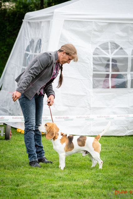 Clubsiegershow BCS  | Clubsiegershow BCS in Villmergen. 14.05.2023 Foto: Leo Wyden