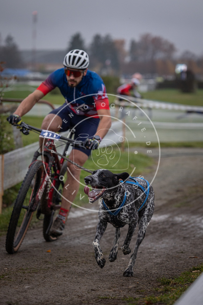 CaniXpix_0L8A1170 | Hundefotografie, Tierfotograf, Pfotenfotografie, Fotoshooting Hund, Hunde Portrait, Hundesport, Hundeportraits, Heideshooting, Hunde, Sportfotograf, Hundefotograf, Turnierhundsport, THS,  - Realisiert mit Pictrs.com