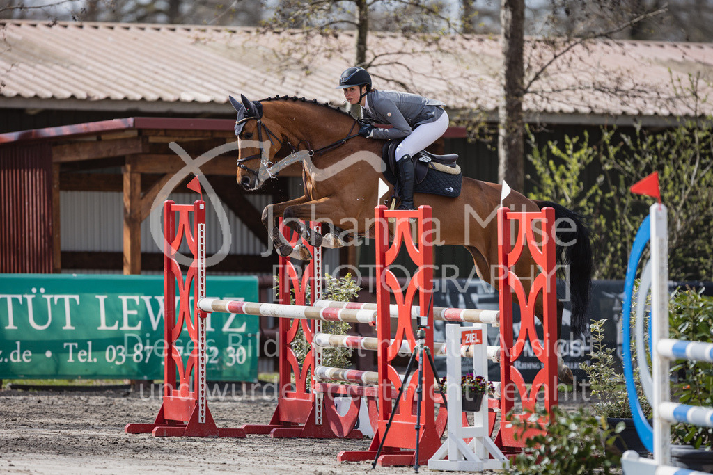 230411_Mühlen_03SprPf-L-453 | Deine schönsten Turniermomente als professionelle Fotos! Entdecke hochwertige Pferdesport-Fotografie im Online-Shop. Jetzt Fotos finden & bestellen!