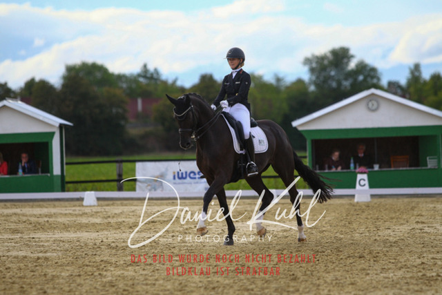 DKP44799 | Turniersportfotografie; Pferdefotografie; Dressurfotografie