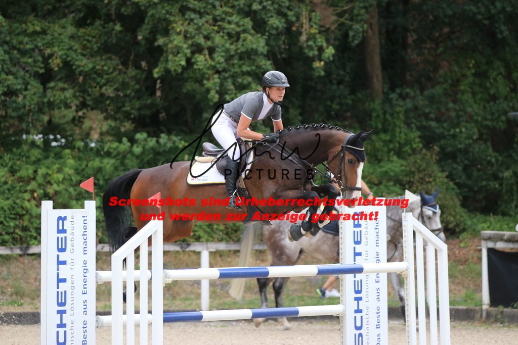 IMG_7819 | lmwpictures - Realisiert mit Pictrs.com