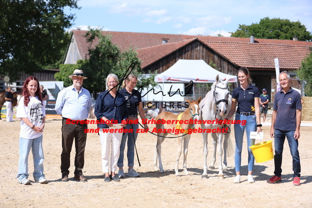 Fohlenschau_Schwäbisch_Hall_Ponys_SIEGERFOHLEN_KN 43_9 | lmwpictures - Realisiert mit Pictrs.com