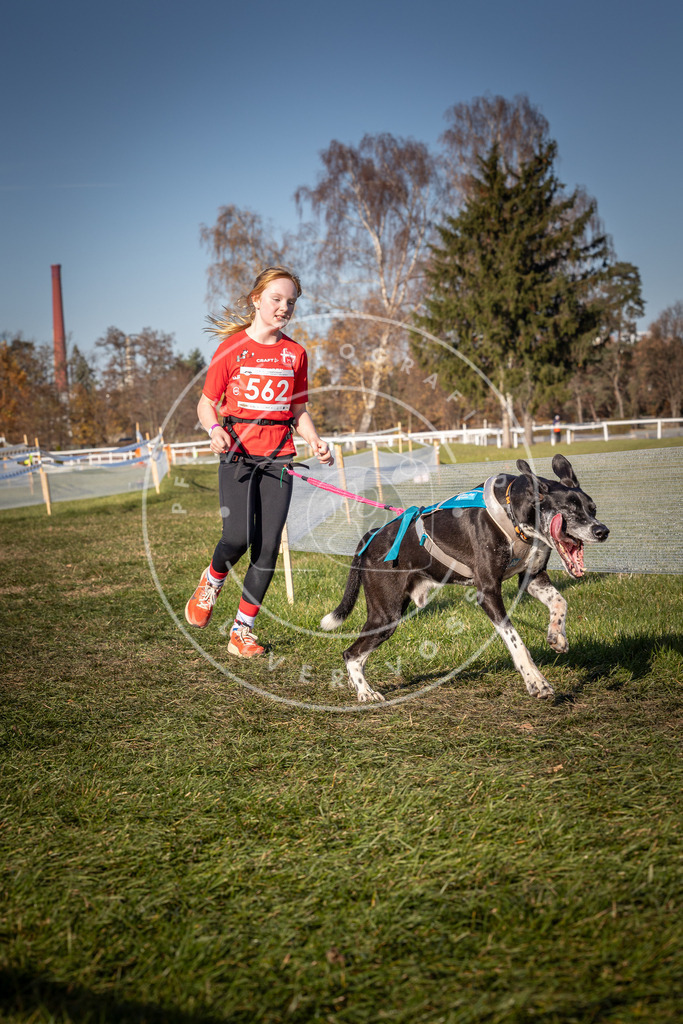 CaniXpix_0L8A7973 | Hundefotografie, Tierfotograf, Pfotenfotografie, Fotoshooting Hund, Hunde Portrait, Hundesport, Hundeportraits, Heideshooting, Hunde, Sportfotograf, Hundefotograf, Turnierhundsport, THS,  - Realisiert mit Pictrs.com