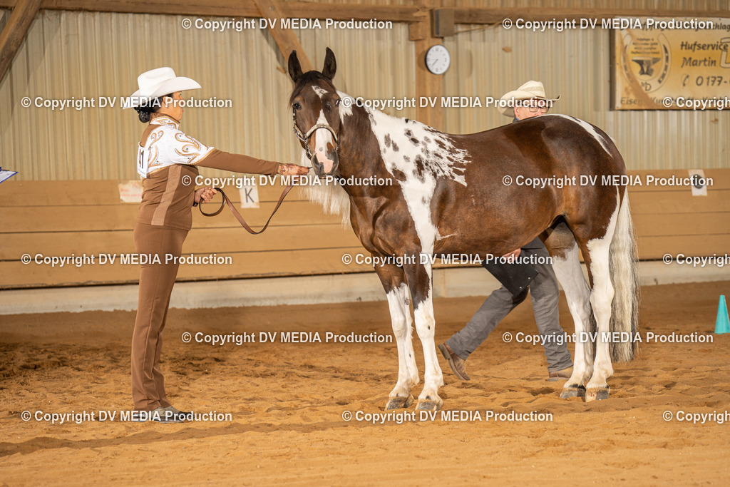 NID02448 | dv-media-shop - Realisiert mit Pictrs.com