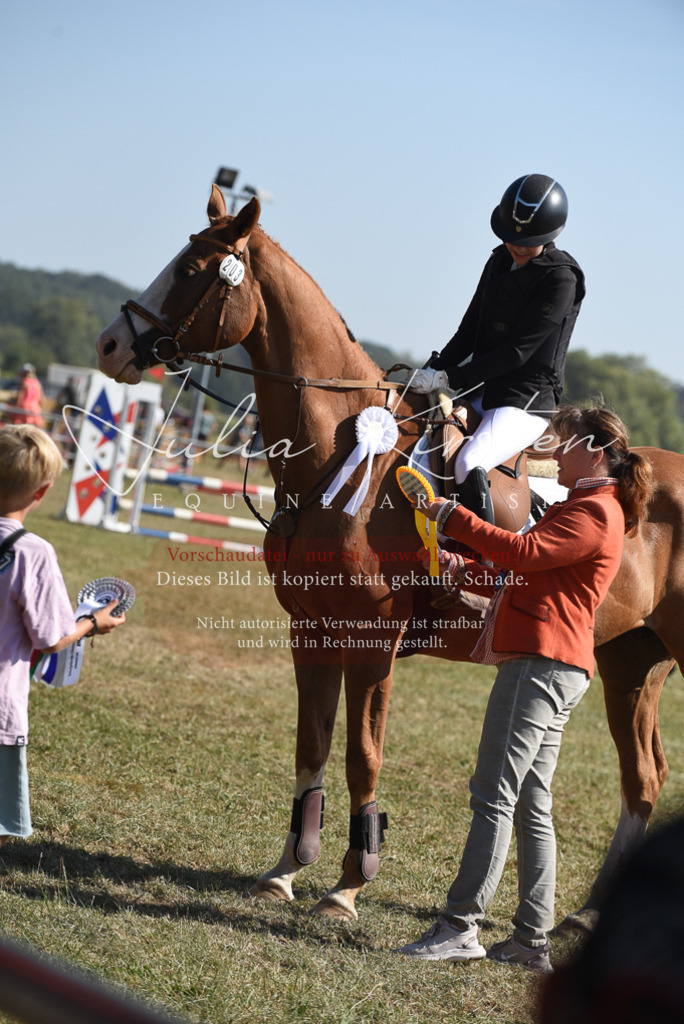 DSC_6184 | Pferde- und Turnierfotografie in Westsachsen. Pferdeportraits, Auftragszeichnungen und intuitive Kunst.