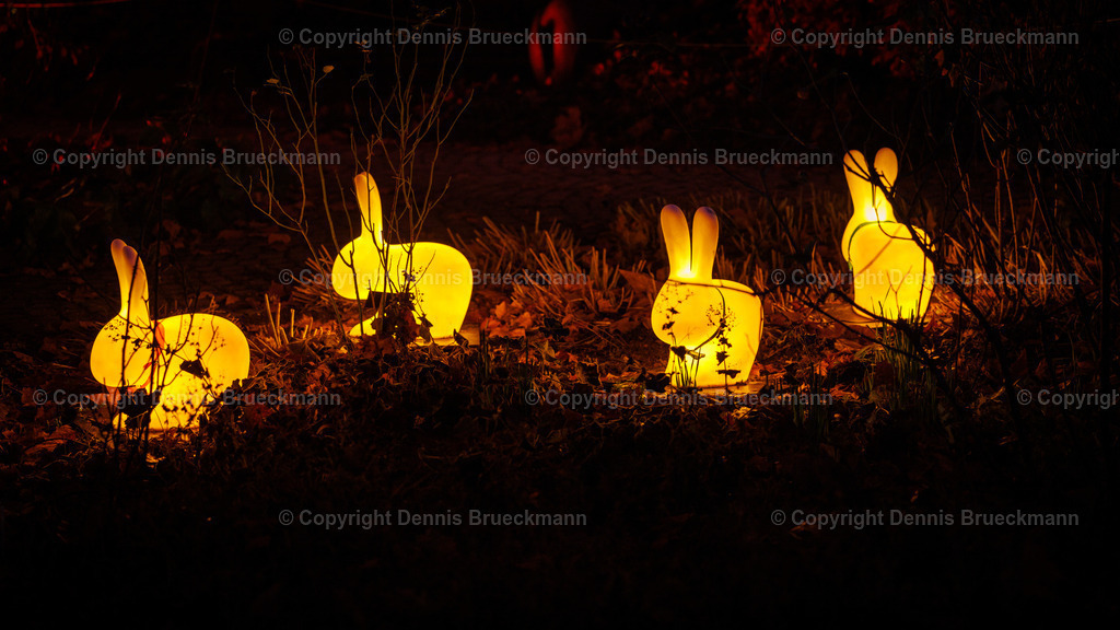 Winterlichter 2023/24 | Dennis-Brueckmann-Fotografie - Realisiert mit Pictrs.com