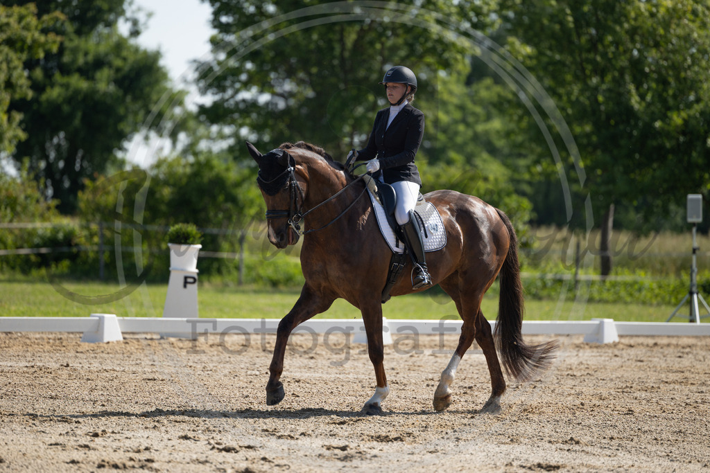 994A3754 | sabrinanicolaifotografie - Realisiert mit Pictrs.com