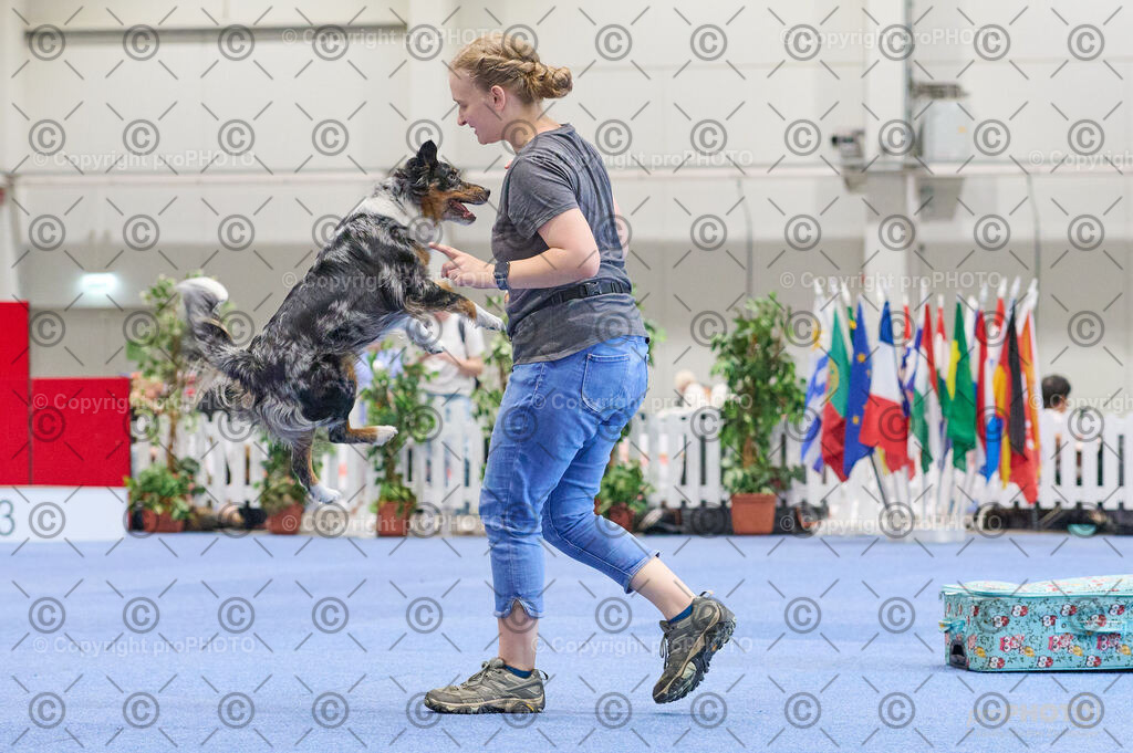 202406_ÖKV-IHA-Tulln24_DSC_4597 | proPHOTO - Realisiert mit Pictrs.com