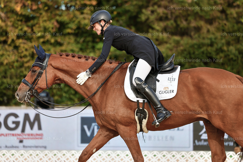 13-220-S___ -StoibPH-6965 | working equitationturnier fotograf videograf stoibphotography marixx film working equitation deutschland reitsport turnierfotografie eventfotografie equestrian events