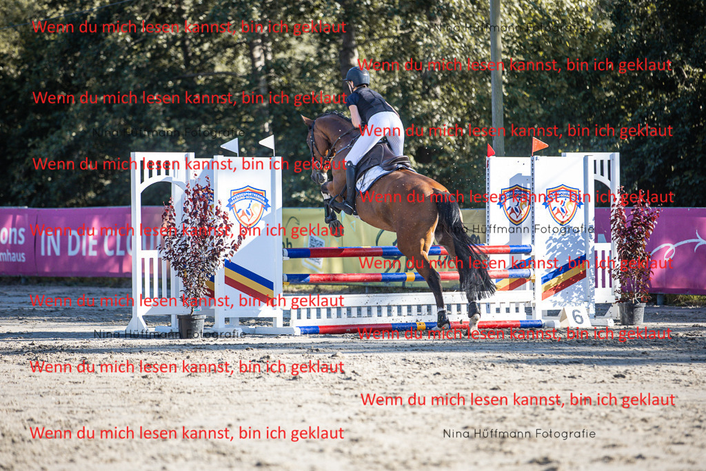 BK1A7611 | Turnierbilder Turnierfotos Nina Hüffmann Turnierfotografie Pferdefotografie Tierzeichnung Haustierzeichnung Pferdezeichnung Hundezeichnung Videograf  - Realisiert mit Pictrs.com