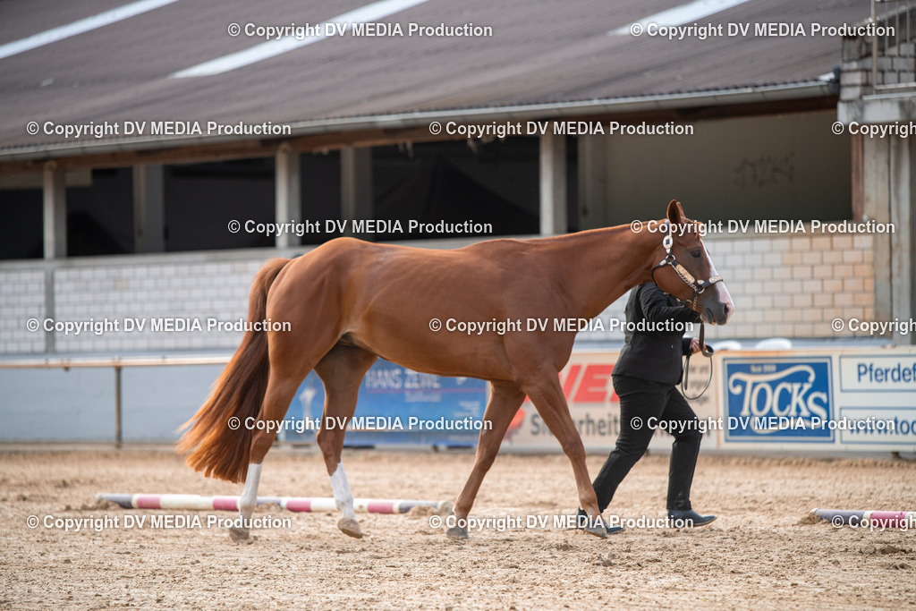 EWP_5556 | dv-media-shop - Realisiert mit Pictrs.com