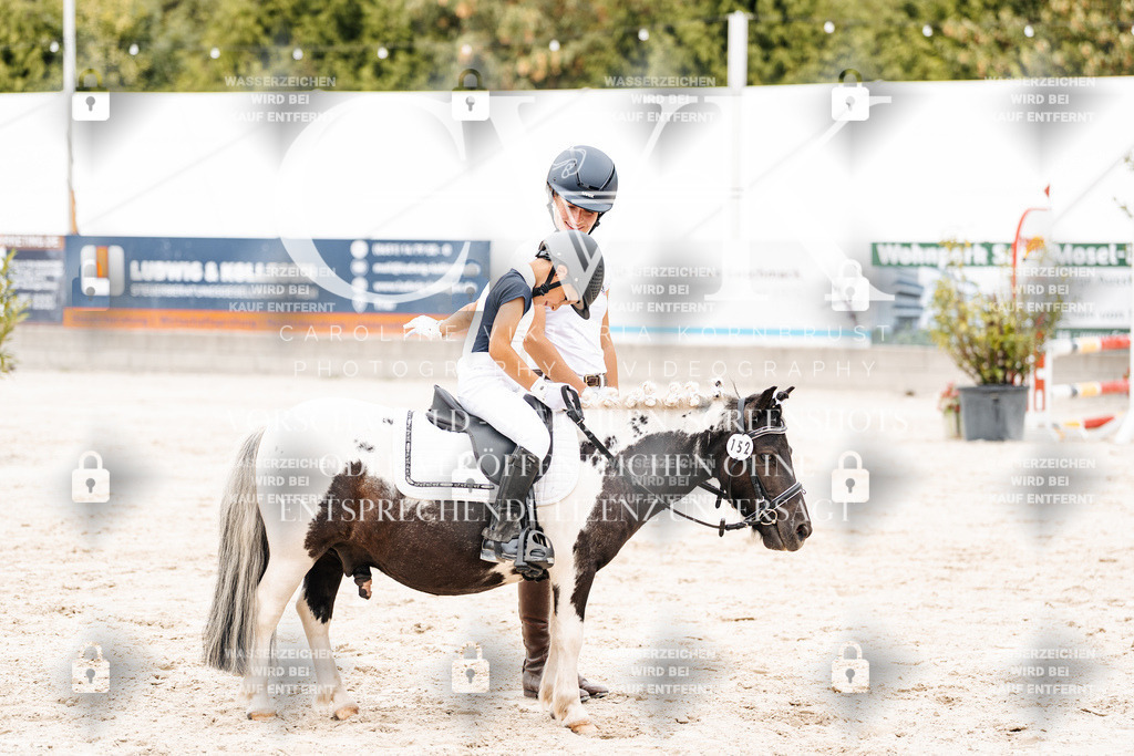 CK907417 | Turnierfotografie Pferdefotografie Trier Rheinland-Pfalz Pferdesport Reitsport Tierfotografie Sportfotografie Pferdevideo Pferdevideografie Equestrianvideography equestrianphotography  - Realisiert mit Pictrs.com