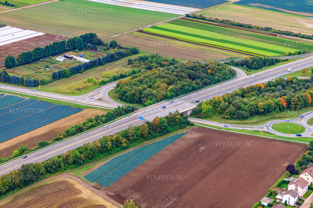 Luftbild: Ausfahrt 4 Maxdorf von der A650 in Fußgönheim im Bundesland Rheinland-Pfalz in Deutschland. Foto: IMG_34221.jpg vom 02.10.2010 durch Werner Riehm/FLY-FOTO.de