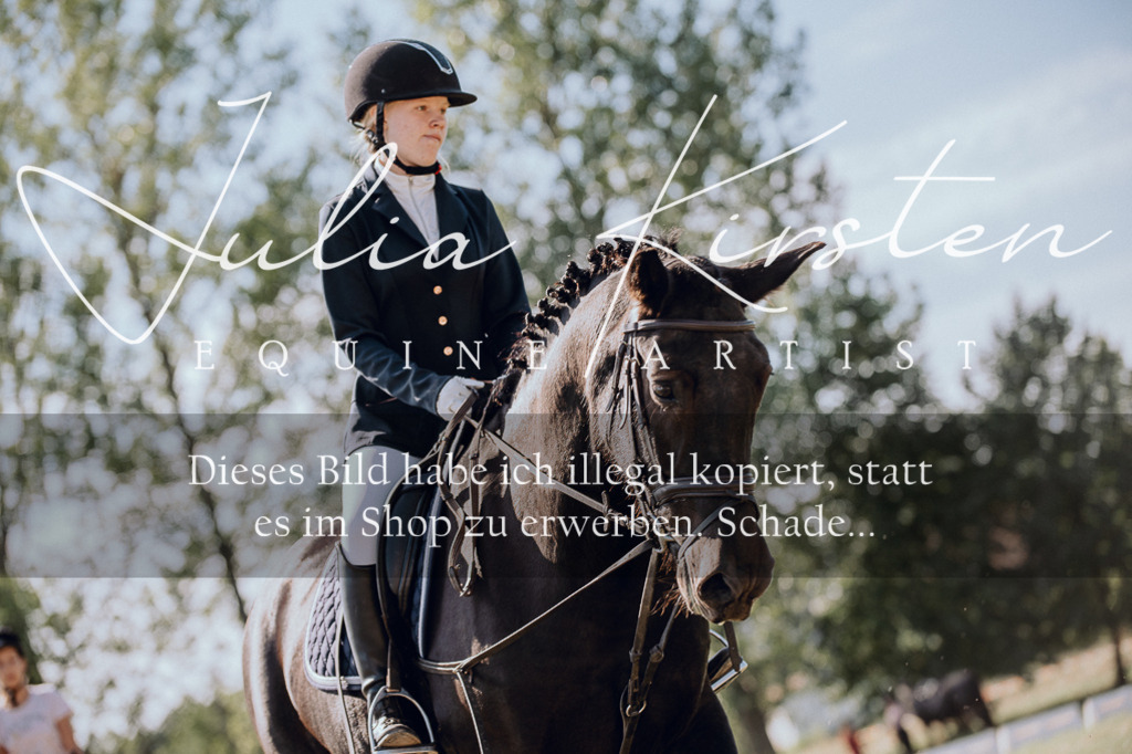 DSC_7179 | Pferde- und Turnierfotografie in Westsachsen. Pferdeportraits, Auftragszeichnungen und intuitive Kunst.