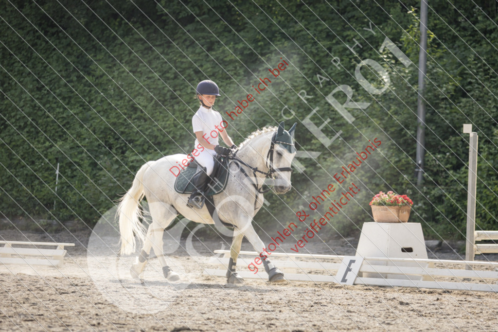 IMG_5854 | Sport-, Event- und Tierfotos in Profiqualität. Einfach auswählen, bestellen und herunterladen. Dein Moment – perfekt festgehalten.