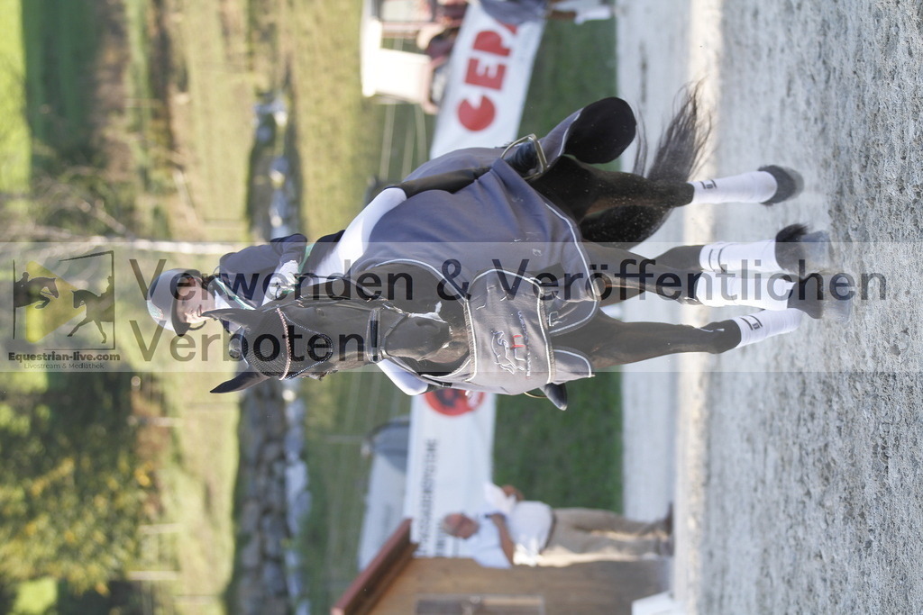 _MG_3364 | equestrian-live-com